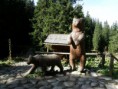 /album/tatry1/a009-jpg/